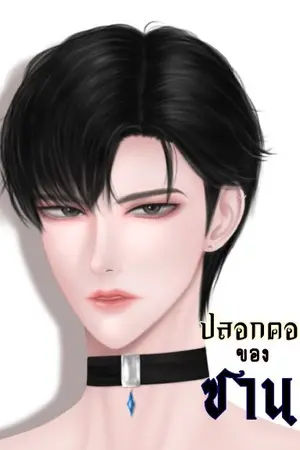 ปกนิยาย ปลอกคอของซาน