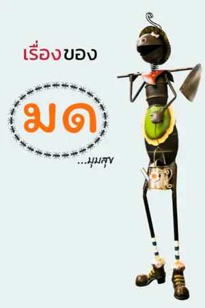 ปกนิยาย