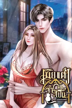 ปกนิยาย เมียแต่งจำเป็น