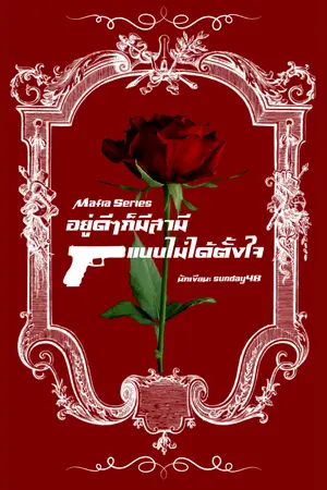 ปกนิยาย