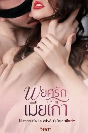 ปกนิยาย พยศรักเมียเก่า