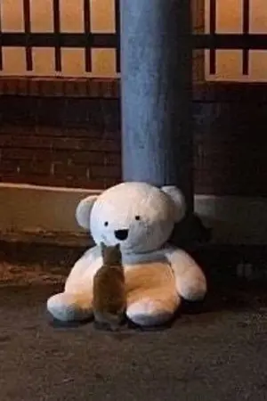 ปกนิยาย 23DAY - NCT