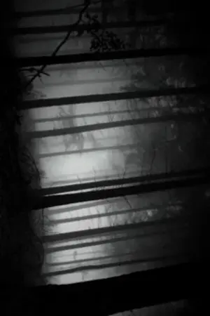 ปกนิยาย ค่ายไตรลักษณ์