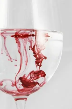 ปกนิยาย Blood Destiny พันธนาการสีเลือด