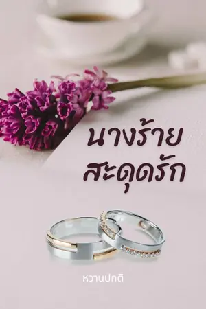 ปกนิยาย นางร้ายสะดุดรัก