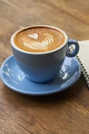 ปกนิยาย รักวุ่นวายของนายกาแฟ