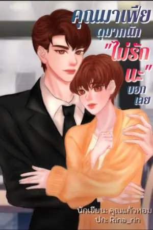 ปกนิยาย คุณมาเฟียดุมากนักไม่รักนะบอกเลย