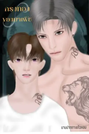 ปกนิยาย กรงทองของมาเฟีย