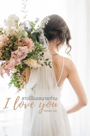 ปกนิยาย