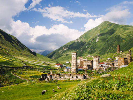 Photo Credit: ThoughtCo