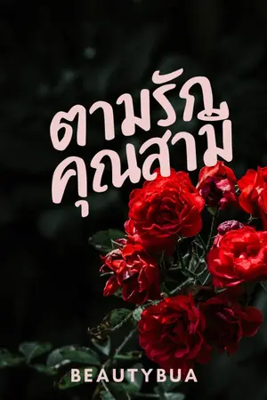 ปกนิยาย ตามรัก...คุณสามี (มี E-BOOK) ติดเหรียญ 16/5/2566