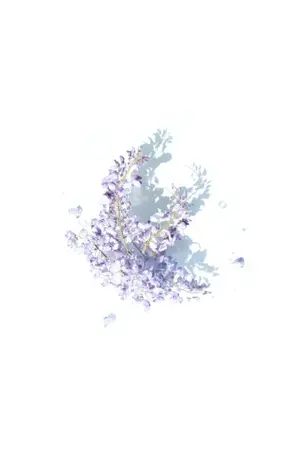 ปกนิยาย 'หวนอดีต สานชะตารัก'