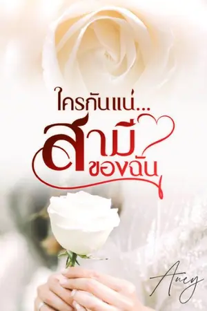 ปกนิยาย ใครกันแน่...สามีของฉัน (มีE-book)