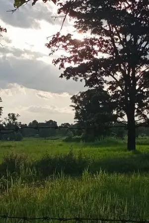 ปกนิยาย รู้ตัวอีกทีได้สามีอัปลักษณ์ (ปลายยุค 70)