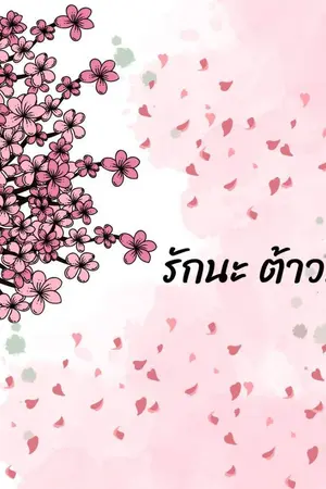 ปกนิยาย รักนะต้าวนายยยย