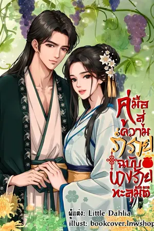 ปกนิยาย คู่มือสู่ความร่ำรวยฉบับนางร้ายทะลุมิติ