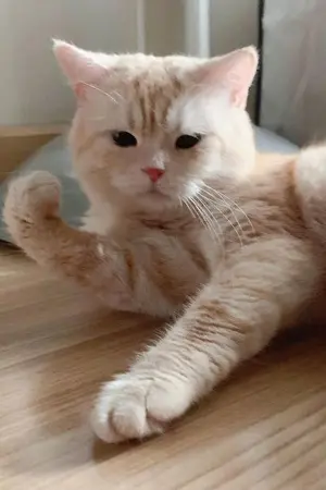 ปกนิยาย ความทรงจำสีเทาหม่น