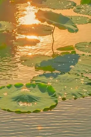 ปกนิยาย จินเย่วไม่ใช่ตัวโง่งม (Yaoi) [ปกชั่วคราว]