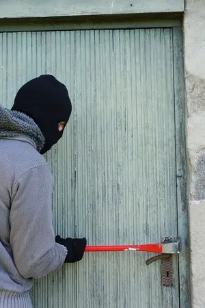 ปกนิยาย นักขโมยทองมือโปร