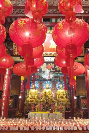 ปกนิยาย ข้าก็เป็นแค่เพียงคนที่หลงทางมา!!