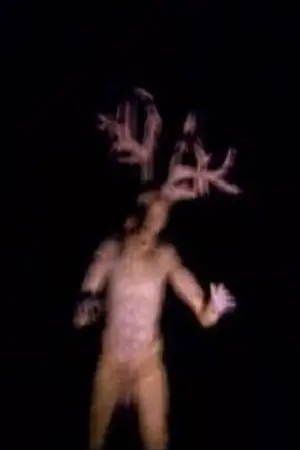 ปกนิยาย dark forrest