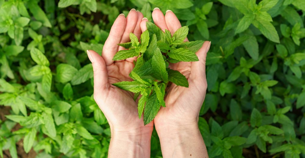 (ภาพจาก www.freepik.com)