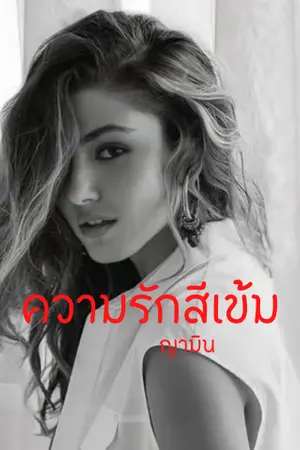 ปกนิยาย