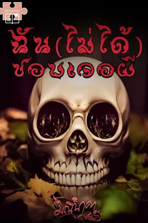 ปกนิยาย