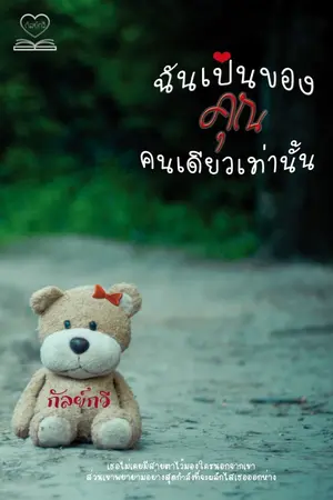 ปกนิยาย