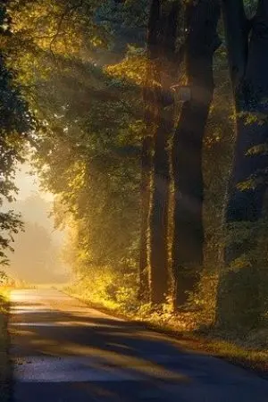 ปกนิยาย การเดินทางของดิว