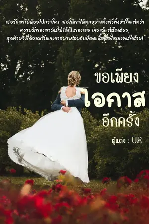 ปกนิยาย ขอเพียงโอกาสอีกครั้ง (มี e-book)