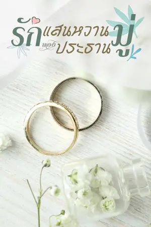 ปกนิยาย