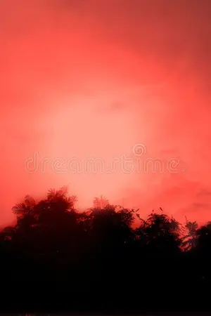 ปกนิยาย Scarlet Sky : ในคืนฟ้าสีชาด