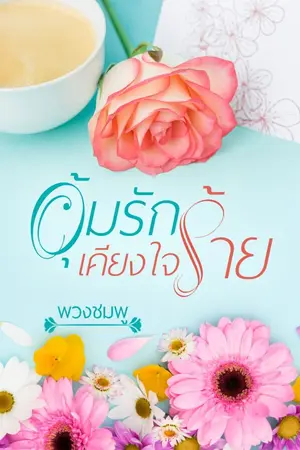 ปกนิยาย