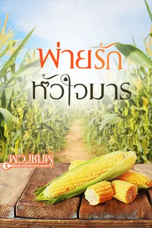 ปกนิยาย พ่ายรักหัวใจมาร