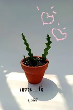 ปกนิยาย เพราะ...รัก