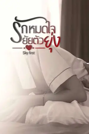ปกนิยาย รักหมดใจยัยตัวยุ่ง(my crazy gilr)