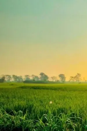 ปกนิยาย น้องอย่าหนีพี่