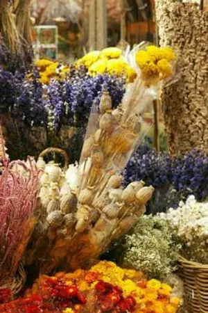 ปกนิยาย เจ้าดอกสุพรรณิการ์