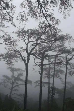 ปกนิยาย Invisible Girl