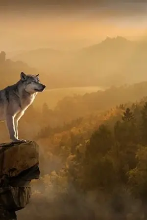 ปกนิยาย ทำสวนทำไร่กับสองหมาป่าคู่ใจที่ต่างโลก