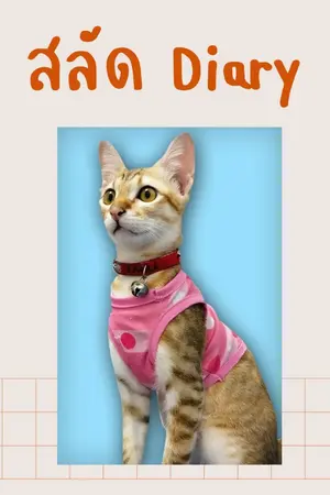 ปกนิยาย สลัด Diary