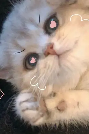 ปกนิยาย รักเราจะเป็นตำนาน