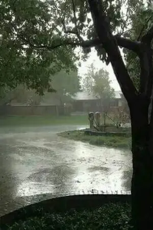 ปกนิยาย เรื่องที่ฉันเจอ