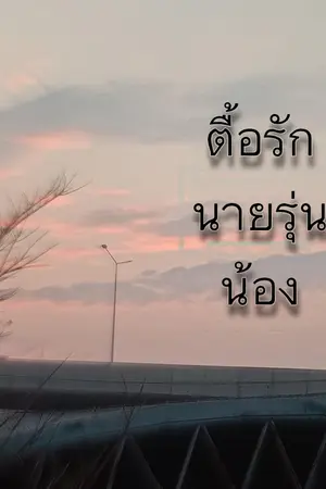 ปกนิยาย