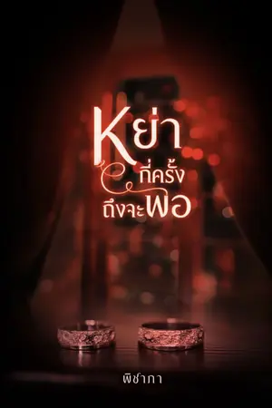 ปกนิยาย หย่ากี่ครั้งถึงจะพอ