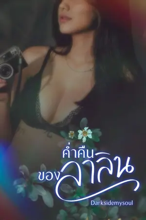 ปกนิยาย ค่ำคืนของลาลิน