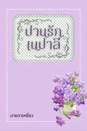 ปกนิยาย