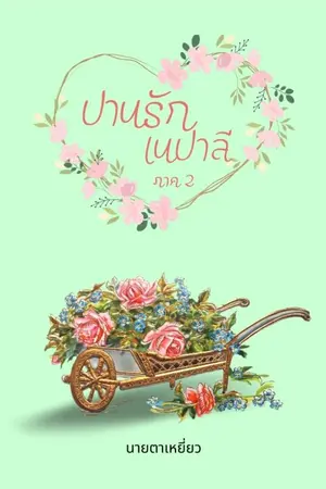 ปกนิยาย