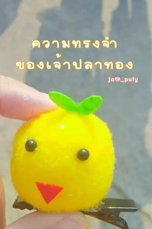 ปกนิยาย